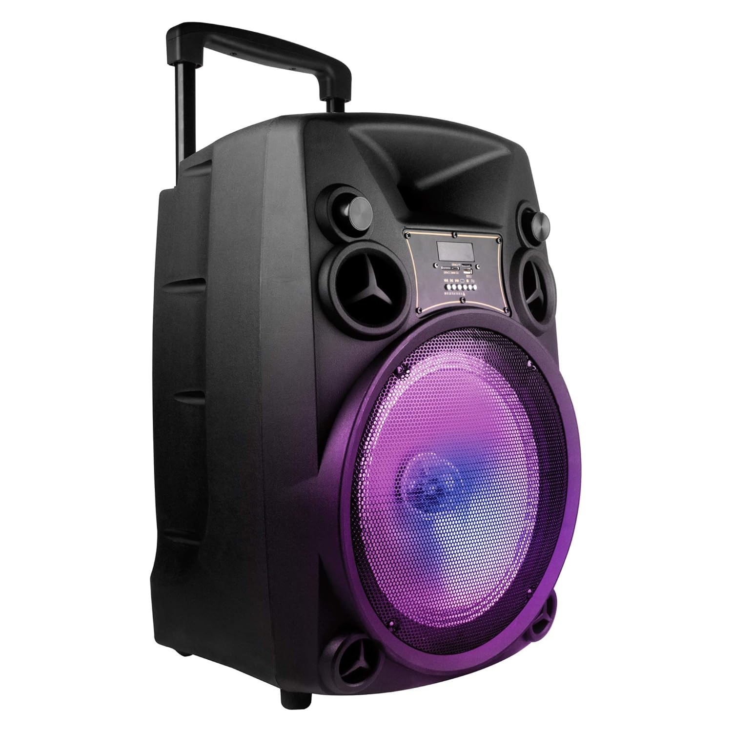 BT918 Wireless BT Trolley Speaker